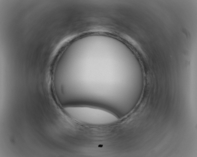 X0000114571408200910191024