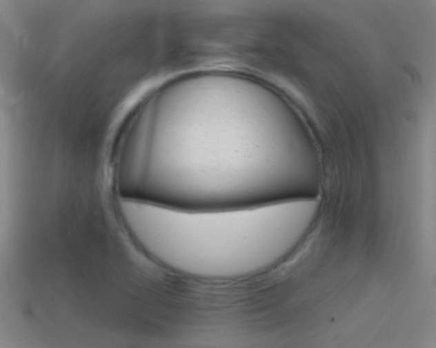 X0000114571414200910191024