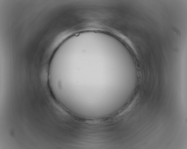 X0000114571415200910191024