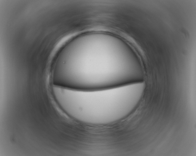 X0000114571416200910191024
