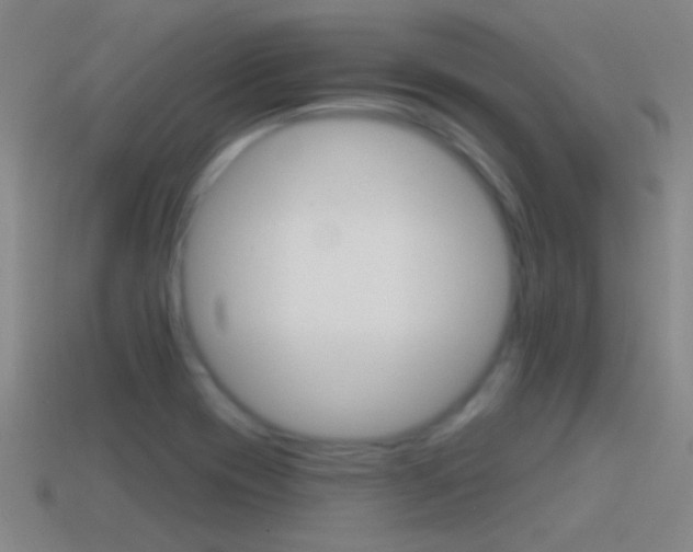 X0000114571417200910191024