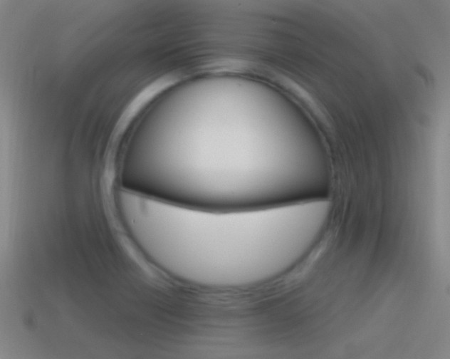 X0000114571418200910191024