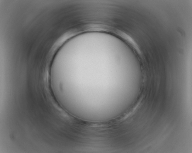 X0000114571419200910191024