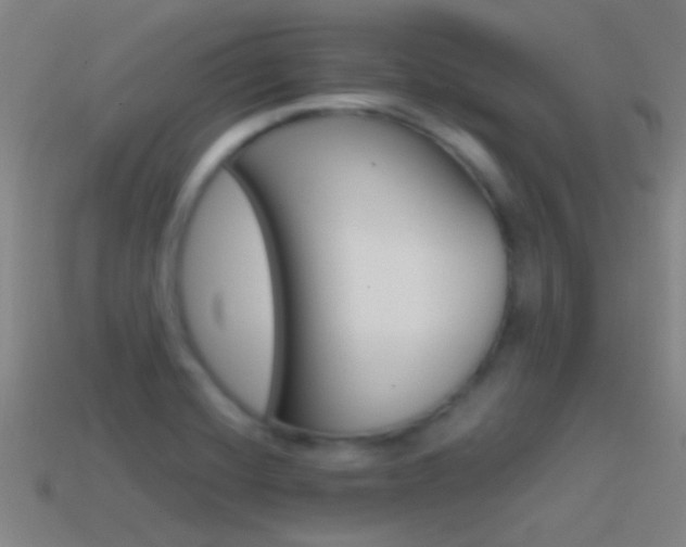 X0000114571420200910191024