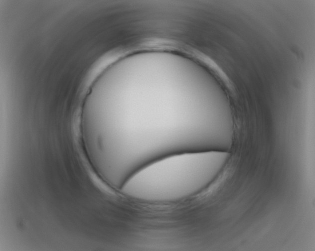 X0000114571421200910191024