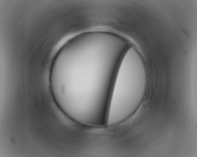 X0000114571422200910191024