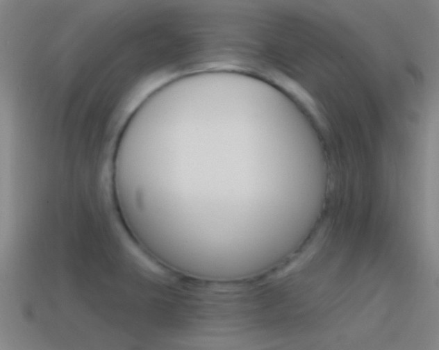 X0000114571423200910191024