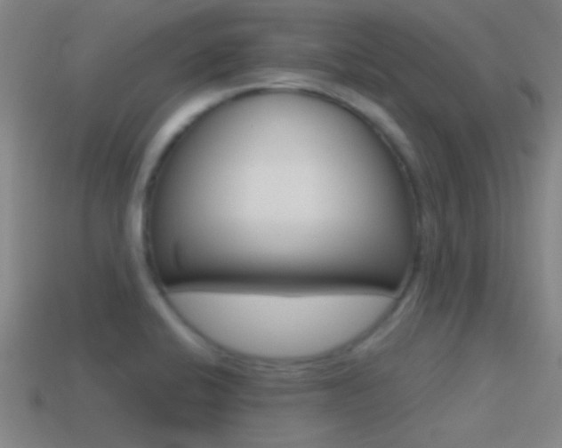 X0000114571424200910191024