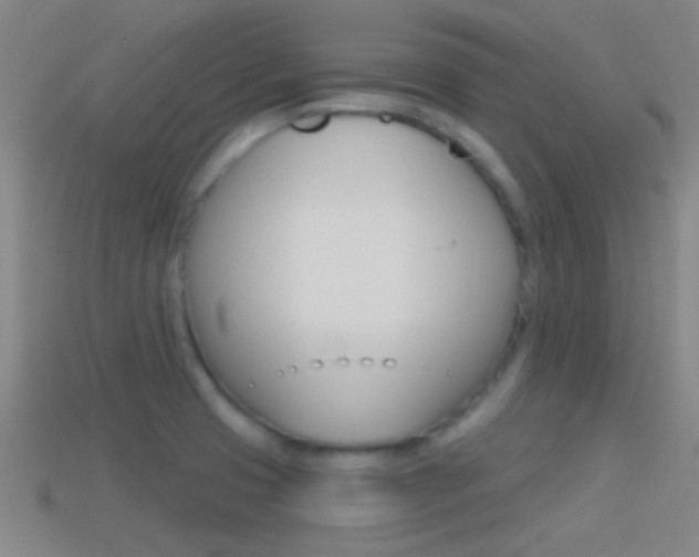 X0000114571425200910191024