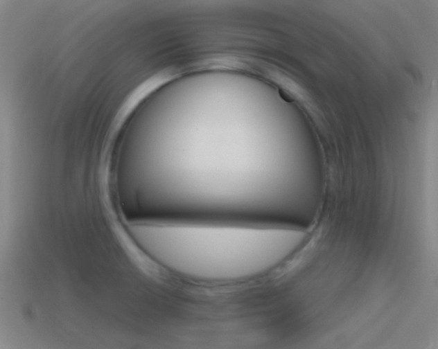 X0000114571426200910191024
