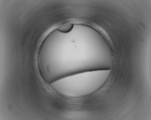 X0000114571427200910191024