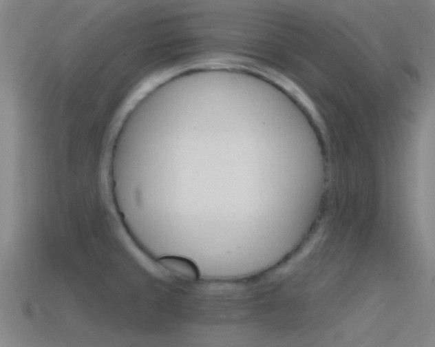 X0000114571429200910191024