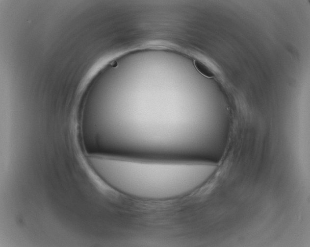 X0000114571430200910191024