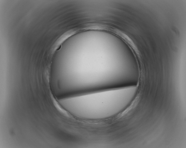 X0000114571433200910191024
