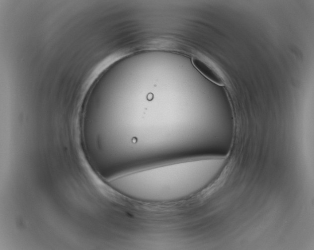 X0000114571434200910191024
