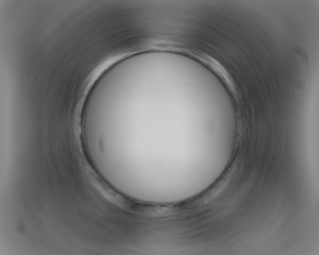 X0000114571435200910191024