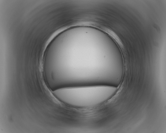 X0000114571436200910191024