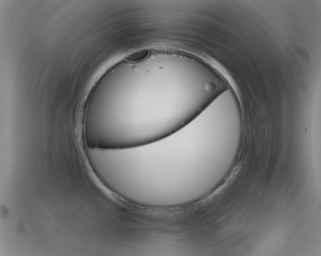 X0000114571437200910191024