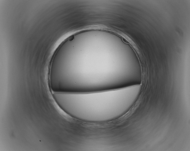 X0000114571438200910191024
