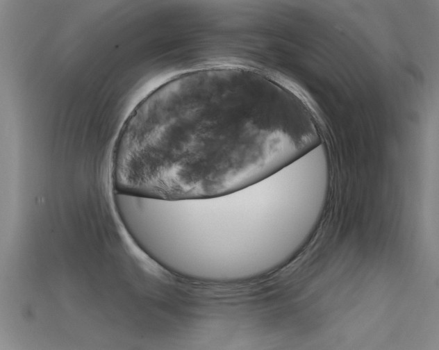 X0000114571439200910191024