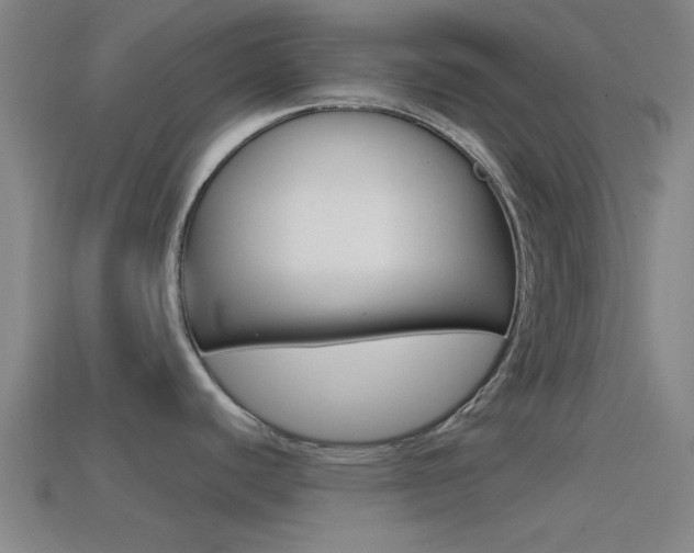 X0000114571440200910191024
