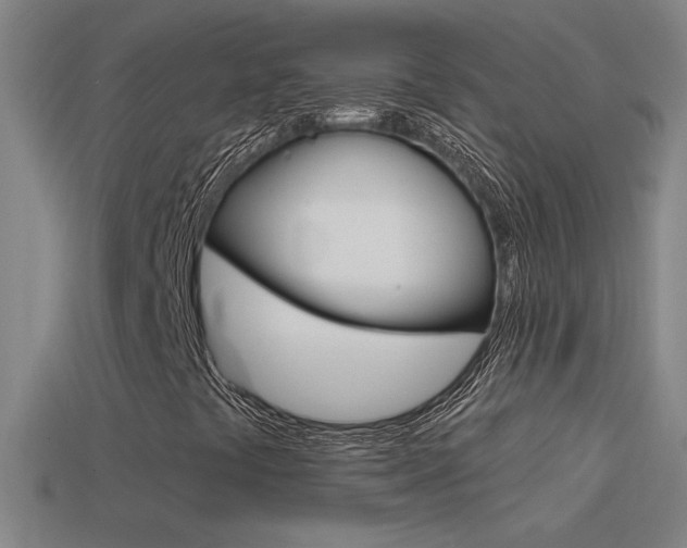 X0000114571441200910191023