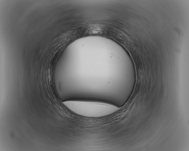 X0000114571442200910191023