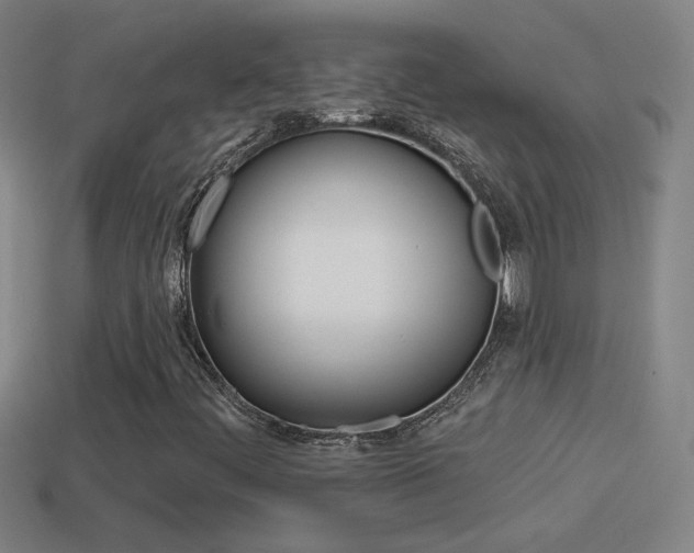 X0000114571444200910191023