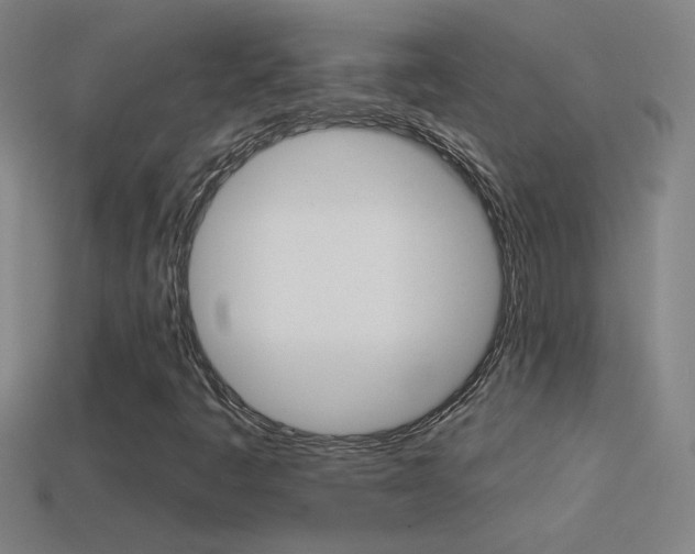 X0000114571445200910191023