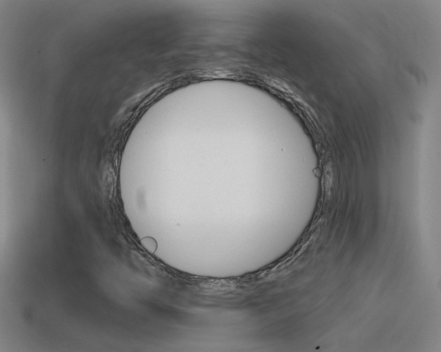 X0000114571446200910191023