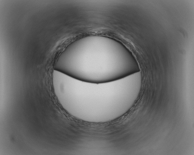 X0000114571447200910191023