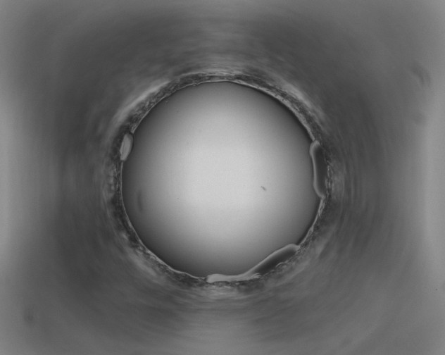 X0000114571448200910191023