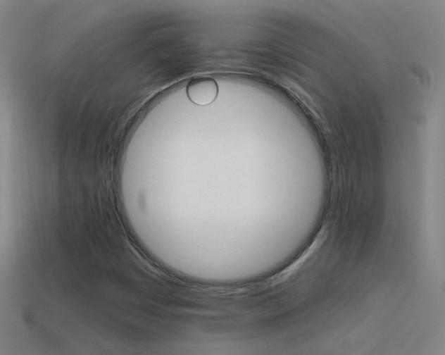 X0000114571449200910191023