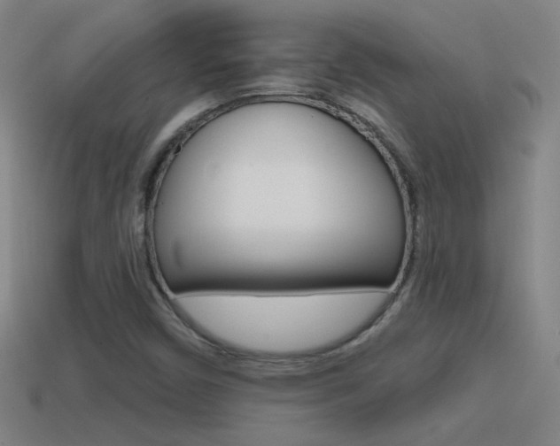X0000114571450200910191023