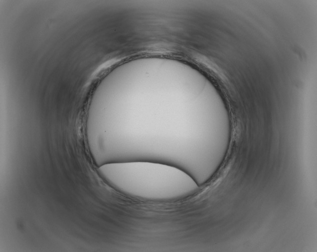 X0000114571451200910191023