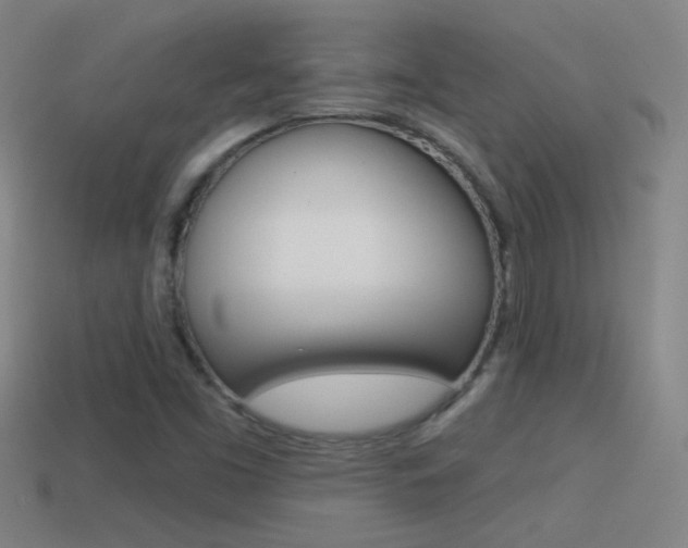 X0000114571453200910191023