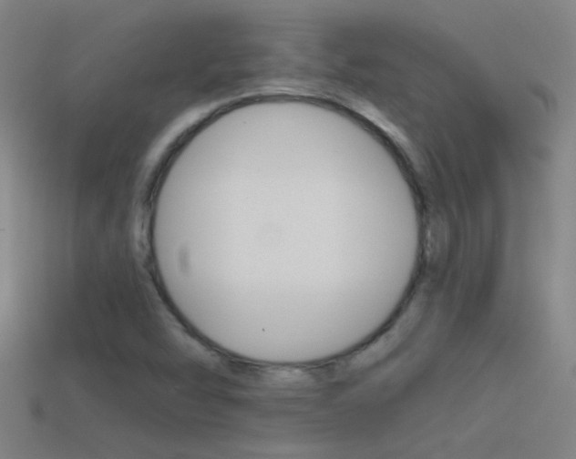 X0000114571454200910191023