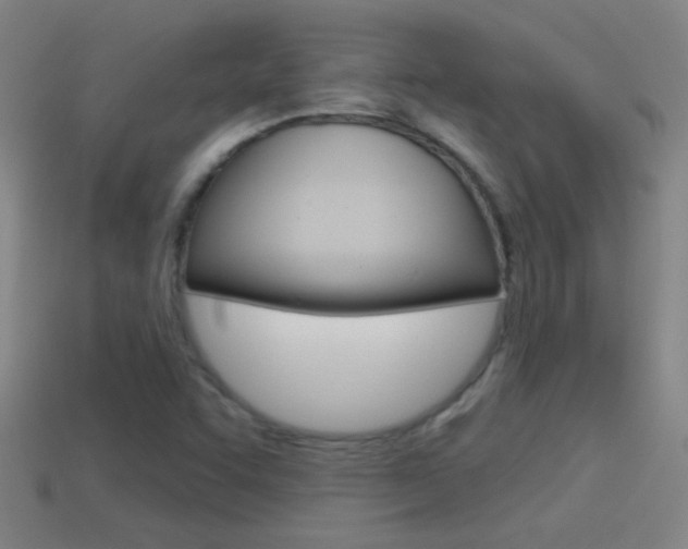 X0000114571455200910191023