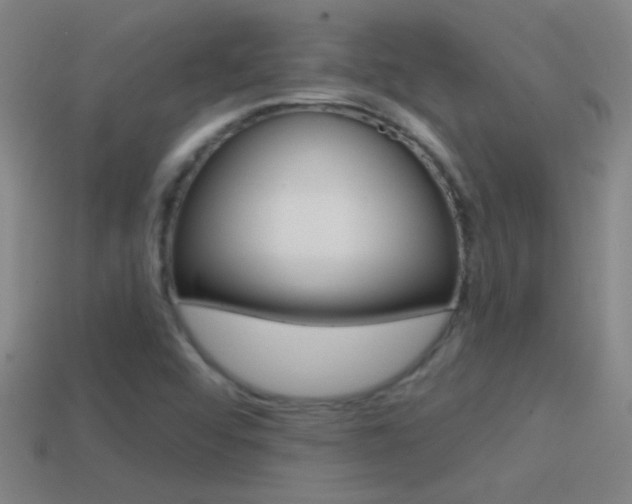 X0000114571456200910191023