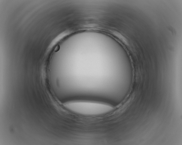 X0000114571458200910191023
