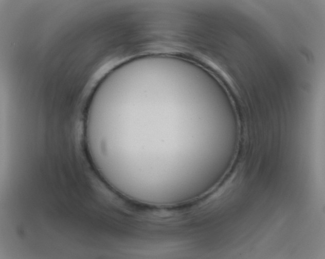 X0000114571459200910191023