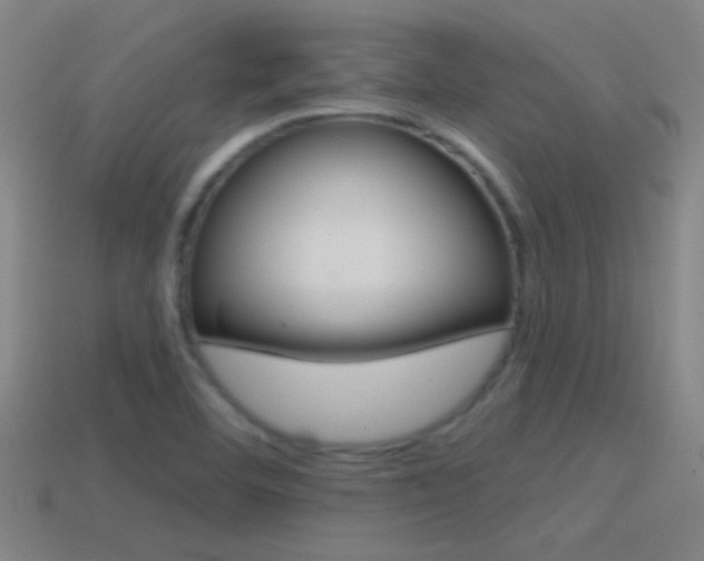 X0000114571460200910191023