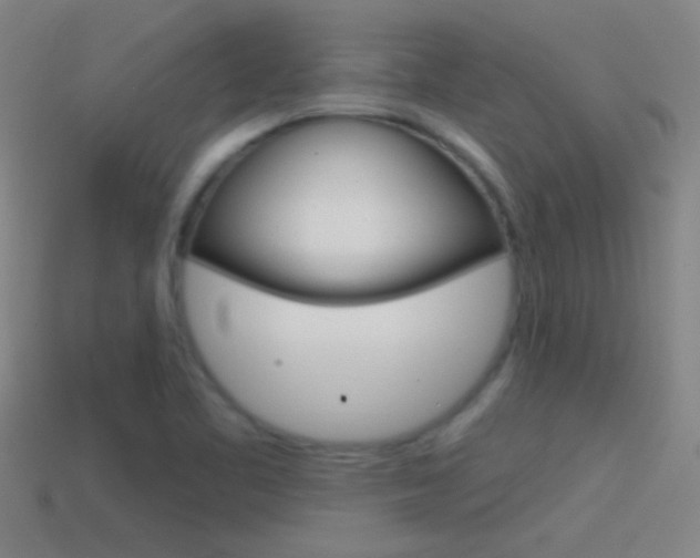 X0000114571461200910191023