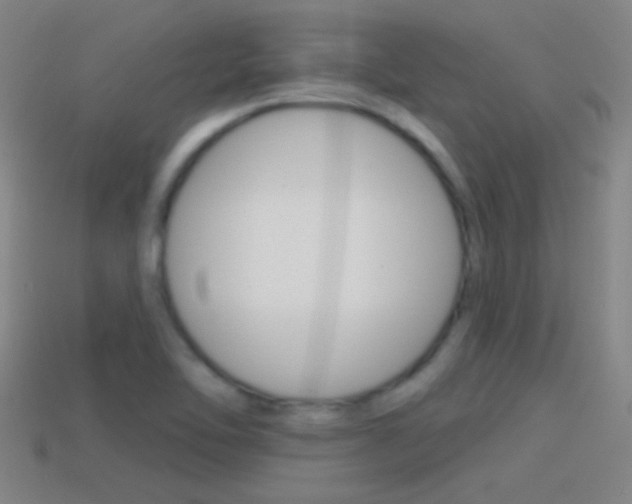 X0000114571462200910191023