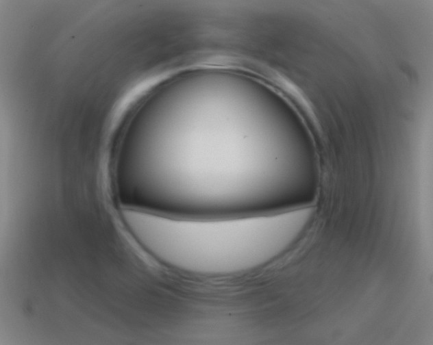 X0000114571464200910191023