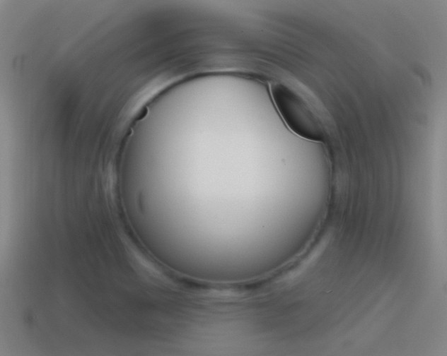X0000114571465200910191023
