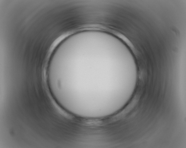 X0000114571466200910191023