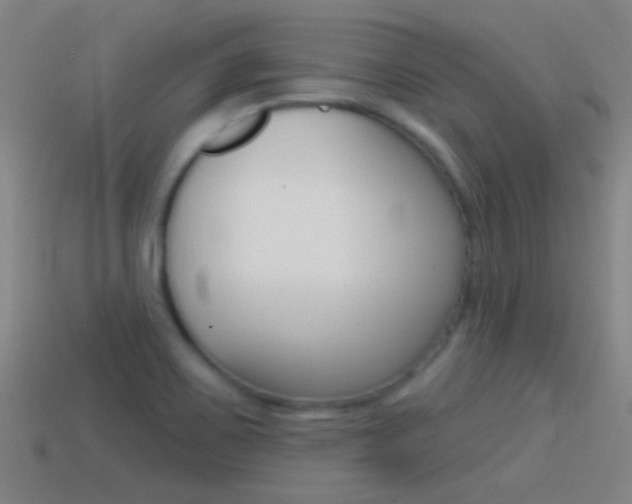 X0000114571467200910191023