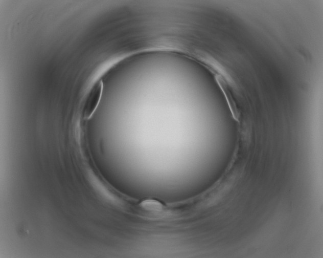 X0000114571468200910191023