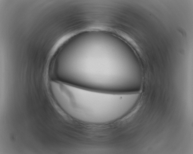 X0000114571469200910191023